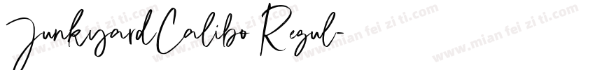 JunkyardCalibo Regul字体转换